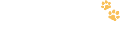 お宿cocochi