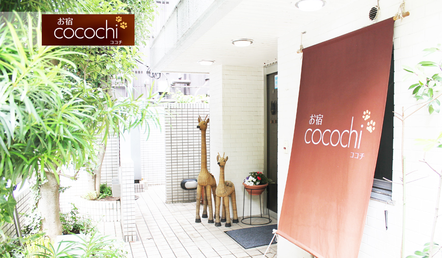 お宿cocochi