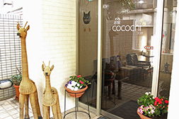 お宿 cocochi