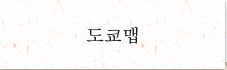 도쿄 지도